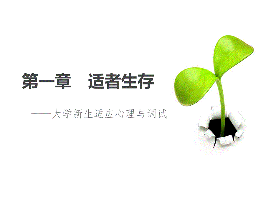 《适应大学生活》PPT课件.ppt_第1页