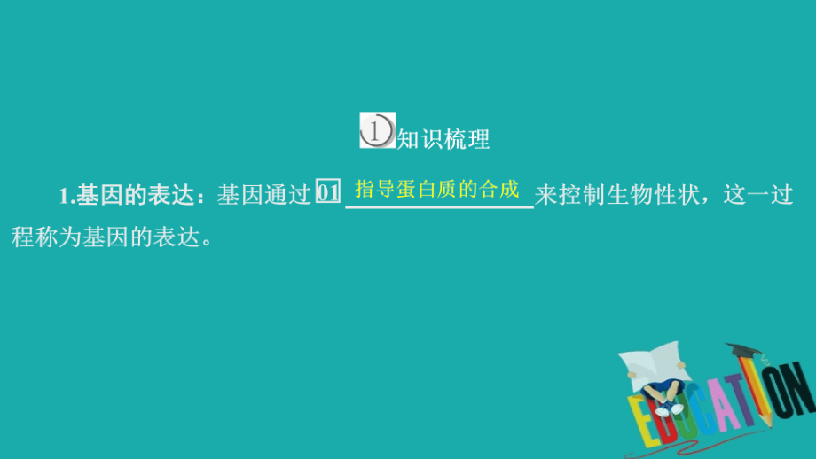 2020生物同步导学人教必修二课件：第4章　基因的表达 第1节_第3页