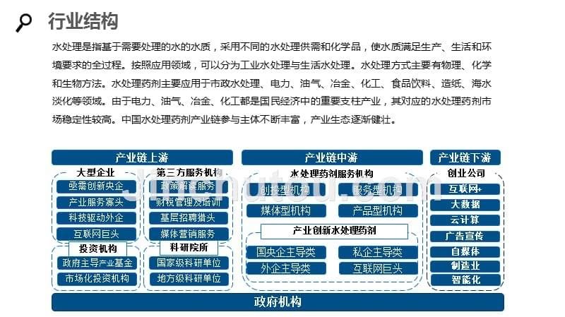 2020水处理药剂行业研究分析报告_第5页