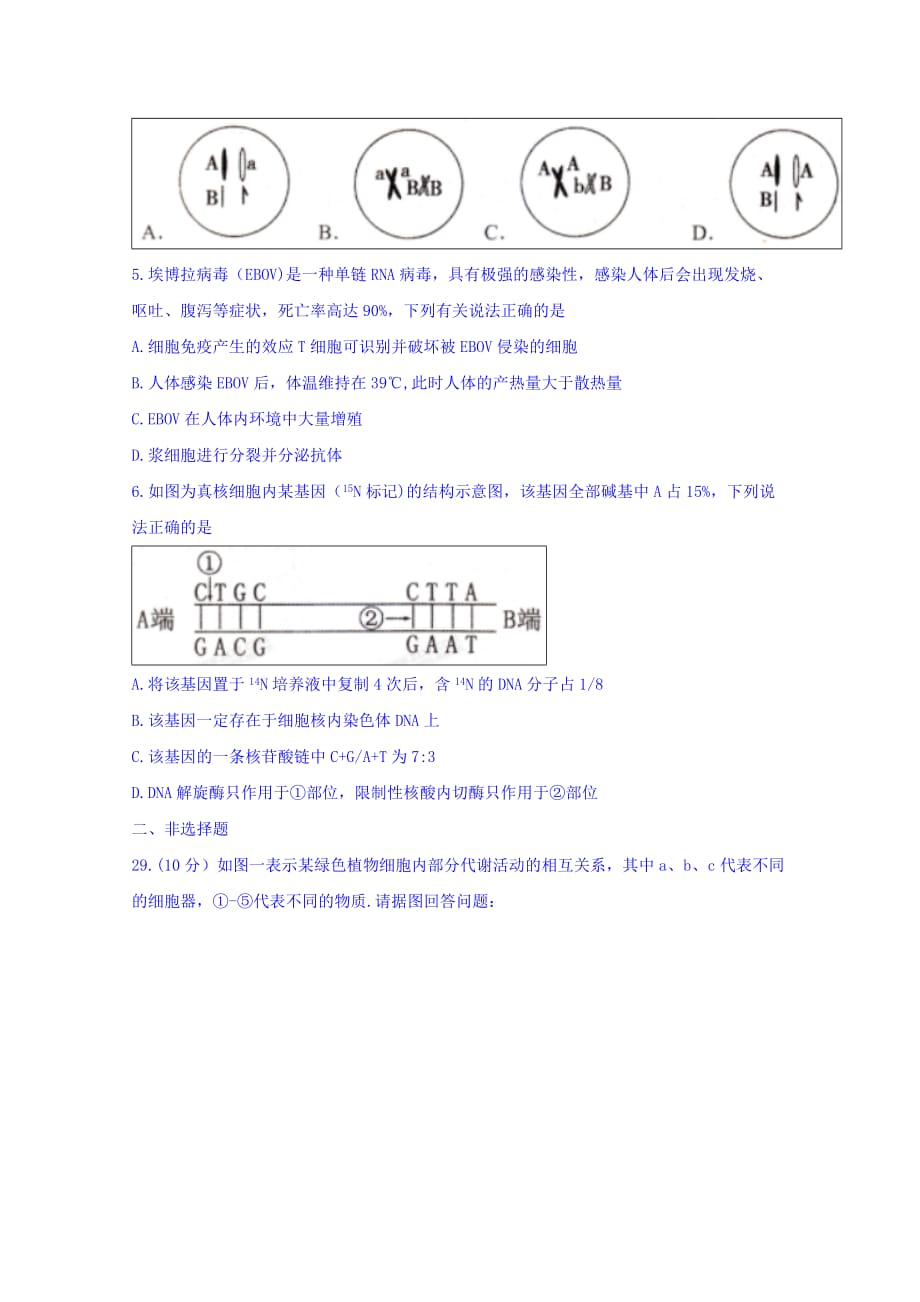 辽宁省沈阳市郊联体高三第一次模拟考试理综生物试题Word版含答案_第2页