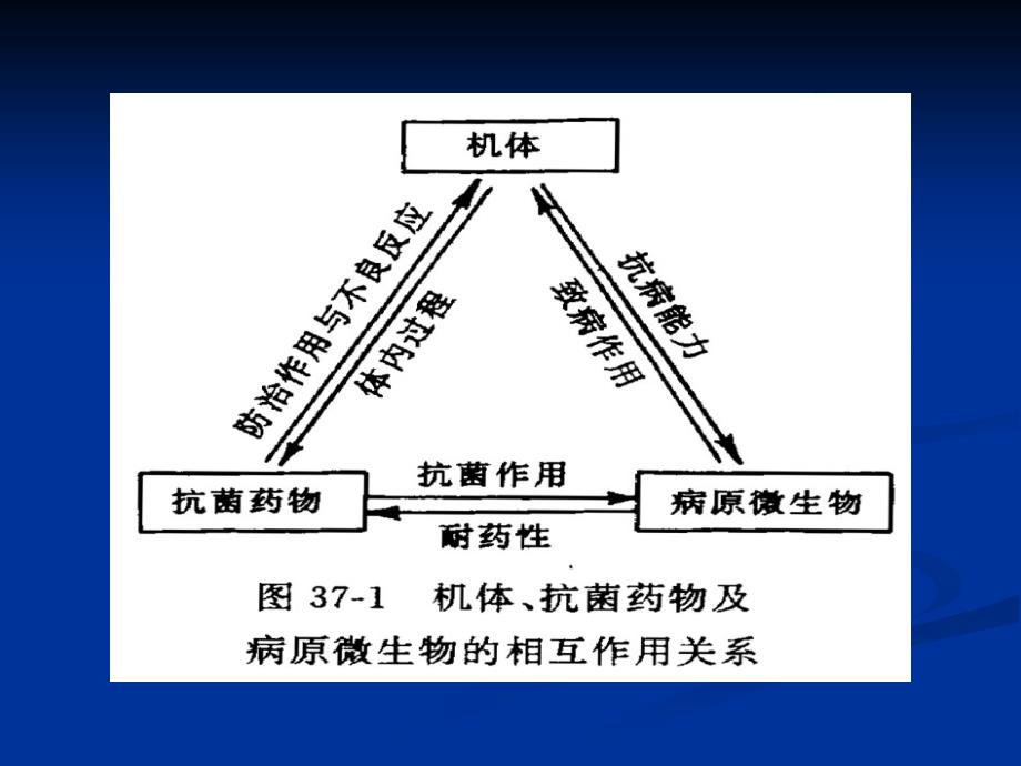 《抗菌药物概论》PPT课件.ppt_第3页