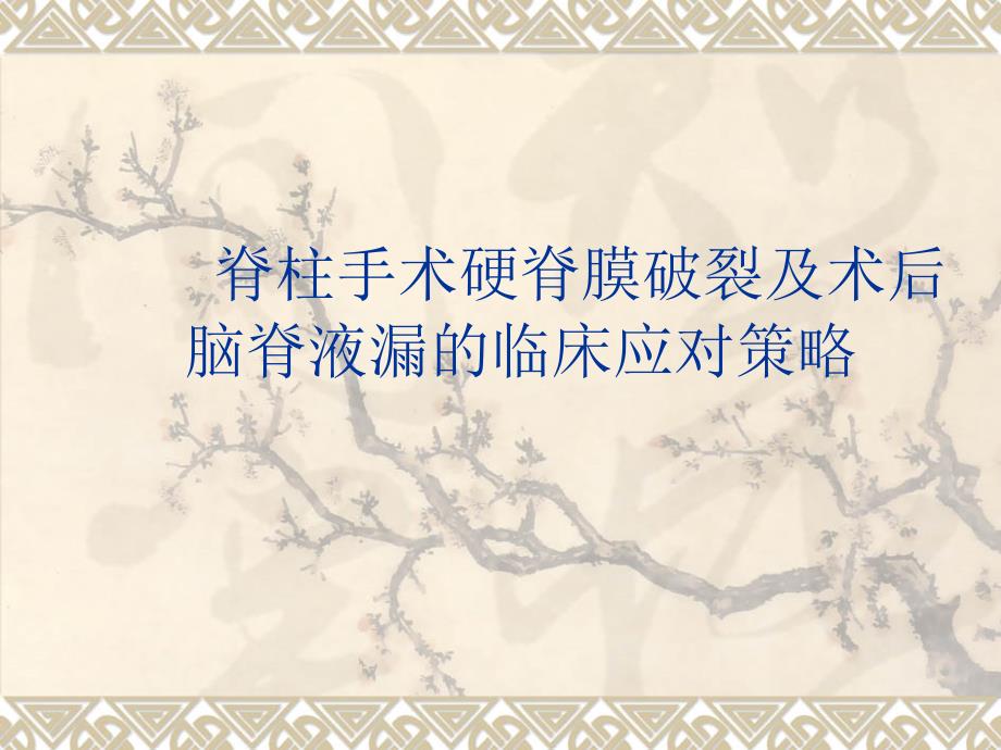 《脑脊液漏的护理》PPT课件.ppt_第1页