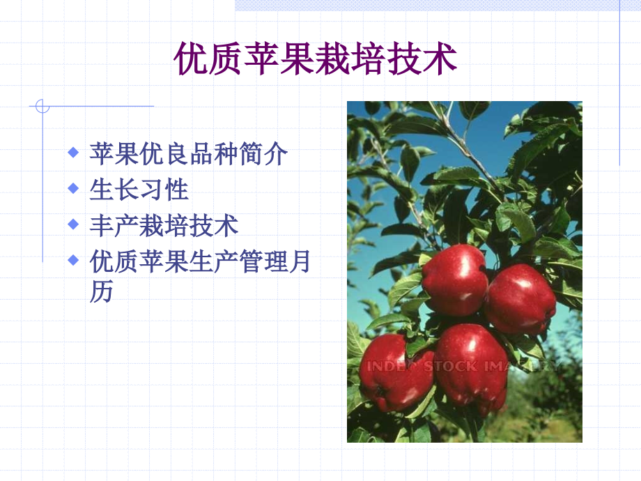 《苹果栽培技术》PPT课件.ppt_第2页