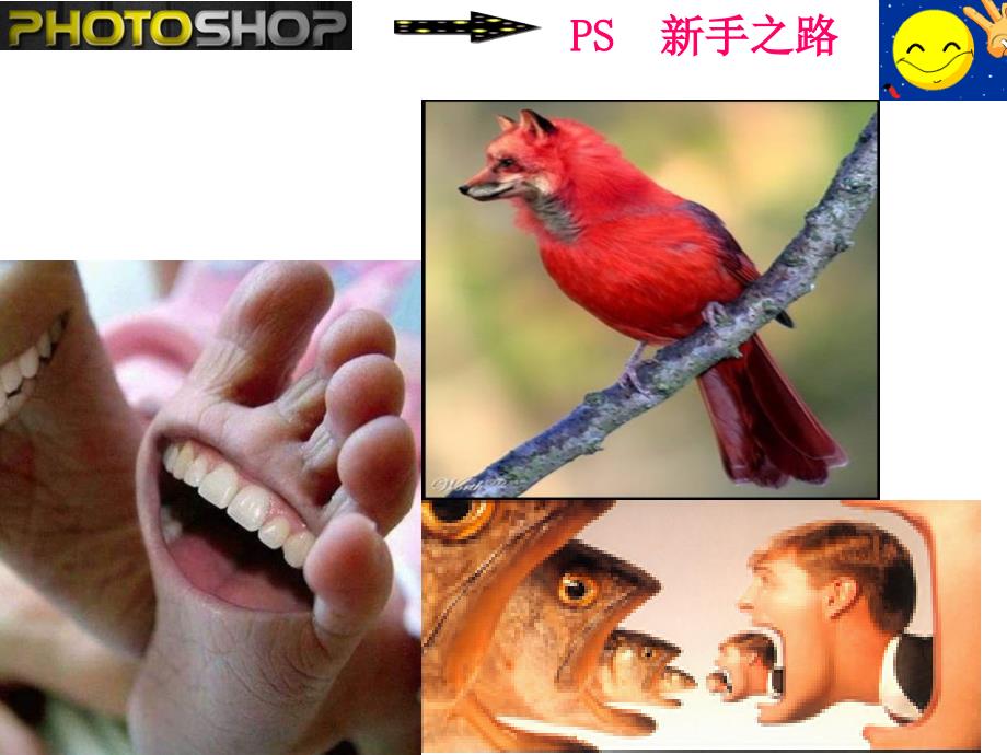 《剪裁与拼接图像》PPT课件.ppt_第4页