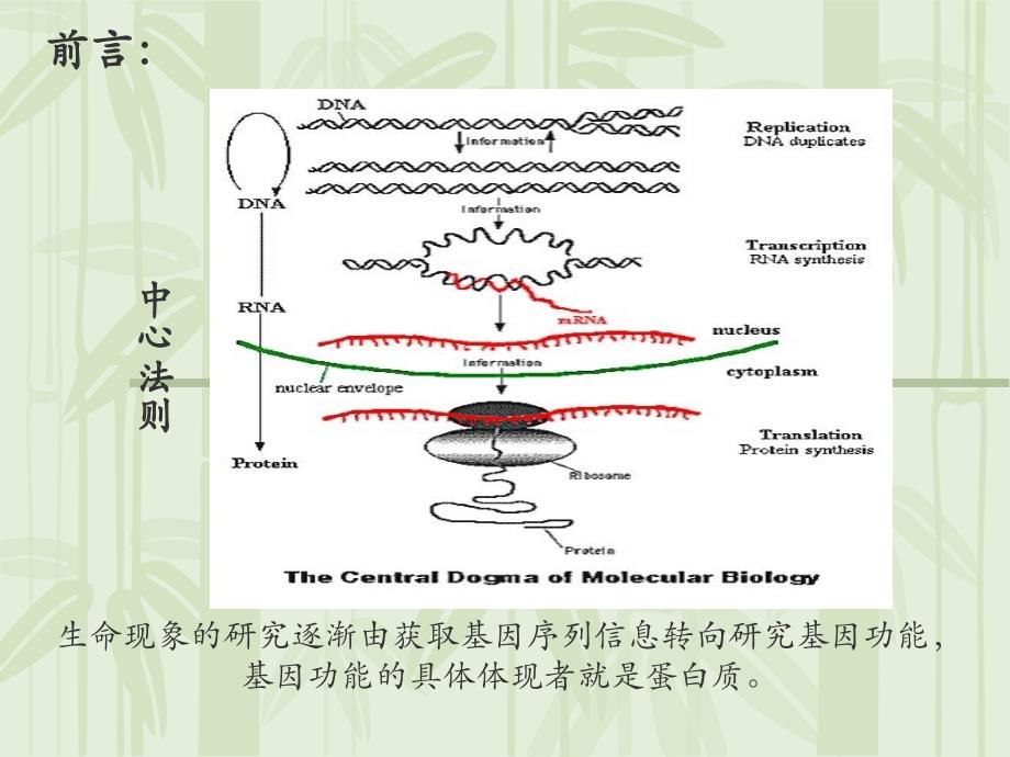 《生命科学进展》PPT课件.ppt_第2页