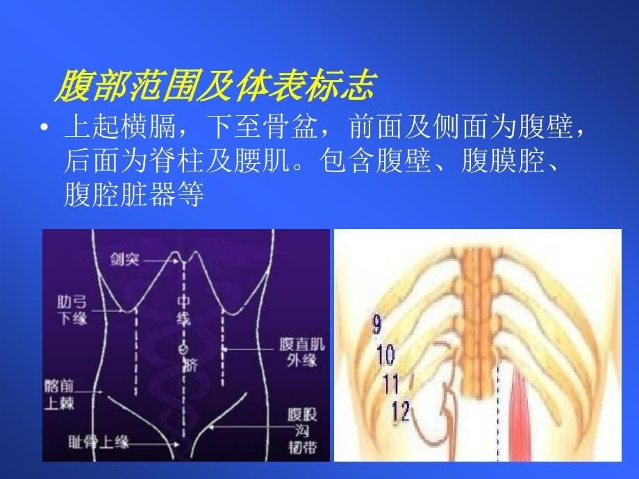 《腹痛的鉴别诊断》PPT课件.ppt_第5页