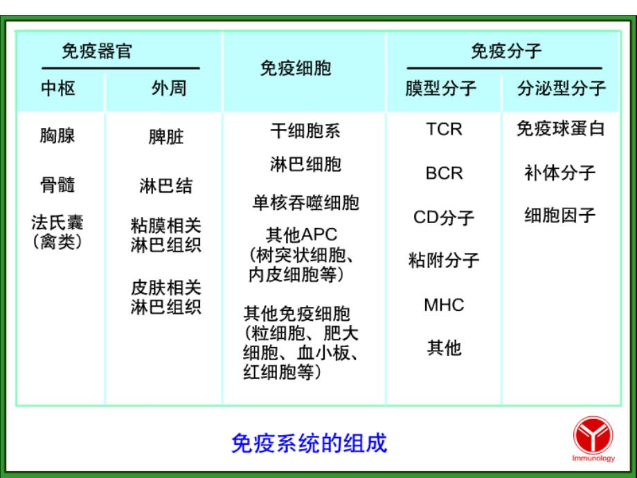 《免疫组织和器官》PPT课件.ppt_第3页