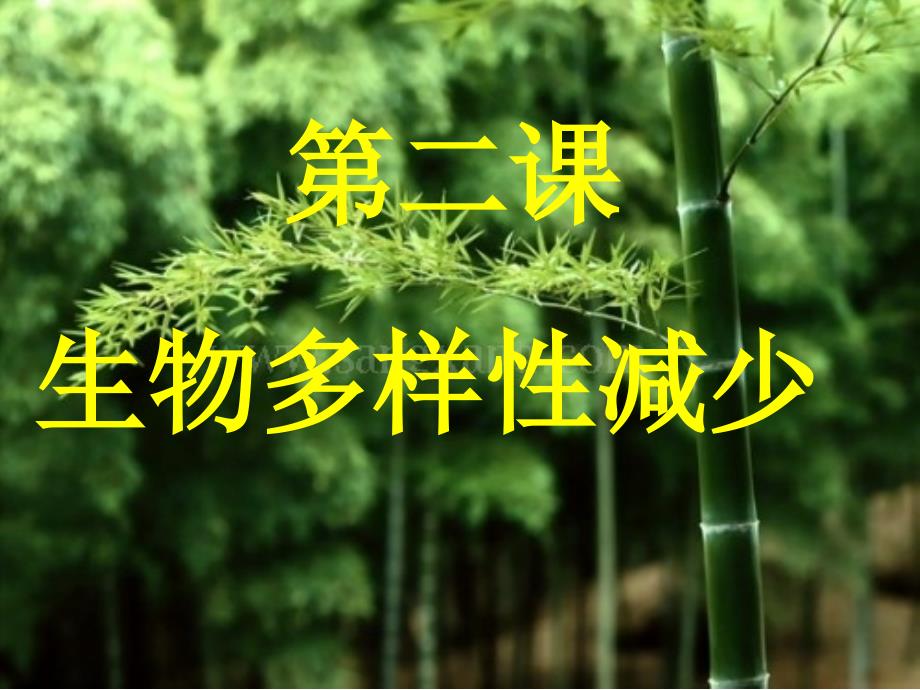 《生物多样性减少》PPT课件.ppt_第1页