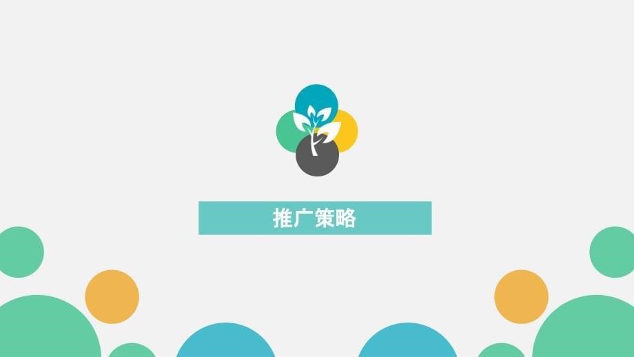 《喜盈门招商方案》PPT课件.ppt_第5页