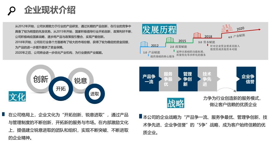 2020网络购物行业发展战略与经营计划_第2页