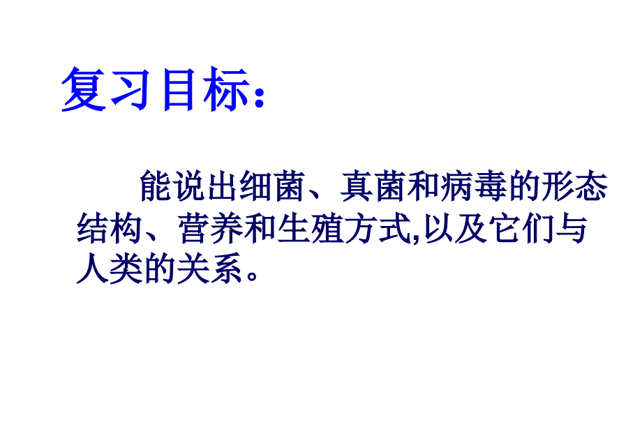 初二生物细菌、真菌和病毒复习精品中学ppt课件.ppt_第2页