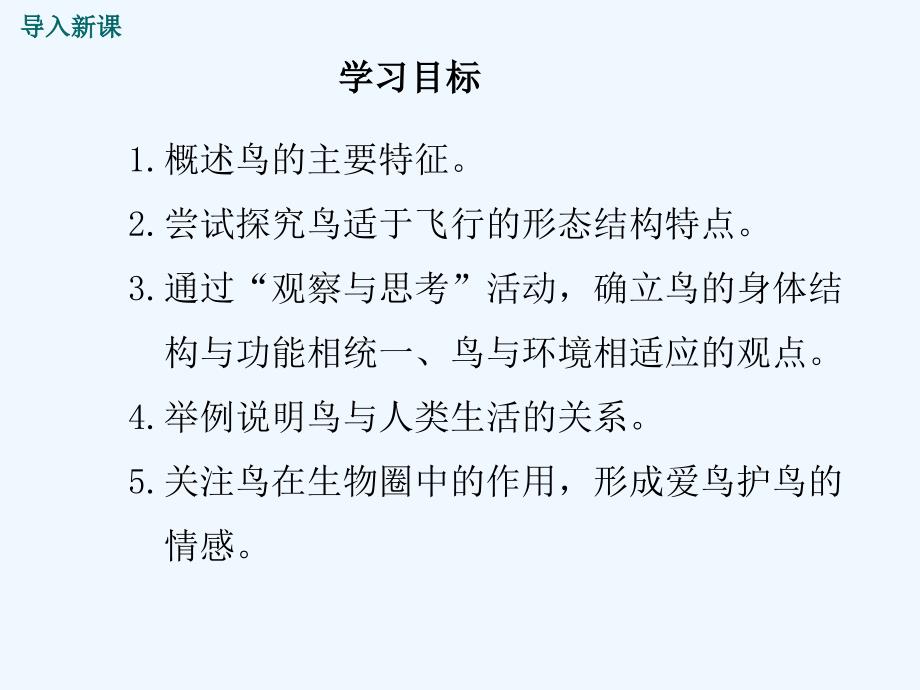 八年级生物上册第五单元第一章第六节鸟课件2新版新人教版_第3页