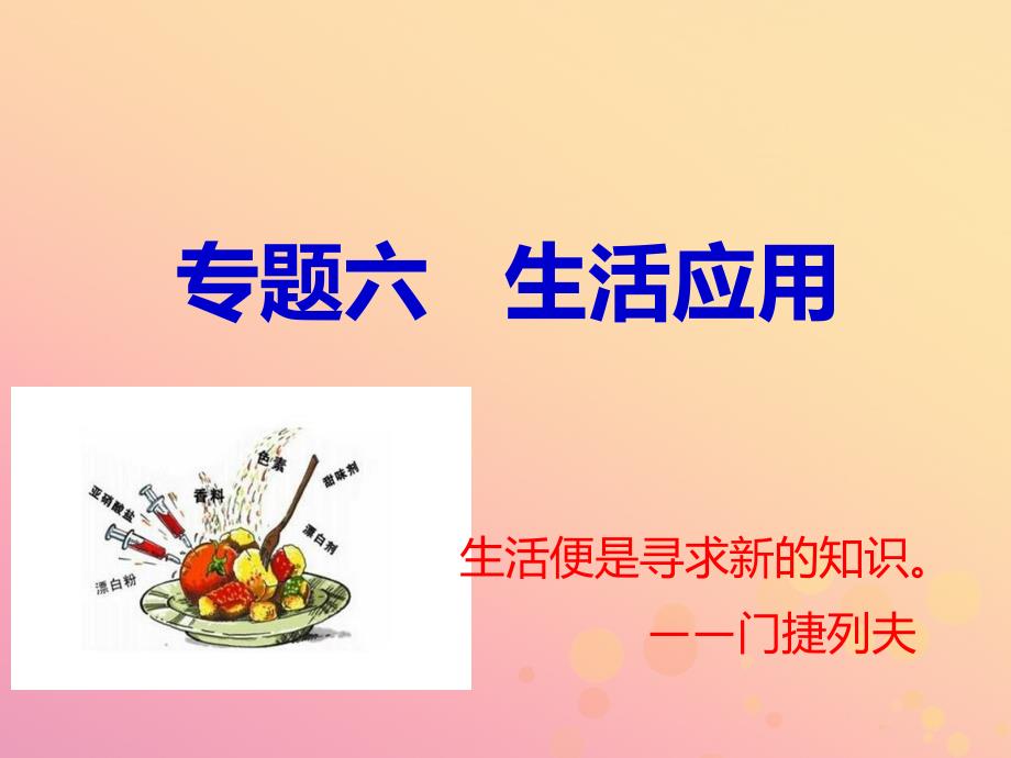 山西省中考化学复习专题六生活应用课件_第1页