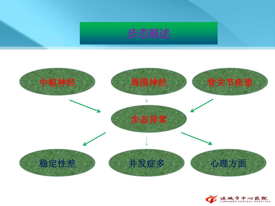 偏瘫步态分析与训练讲义.ppt_第4页