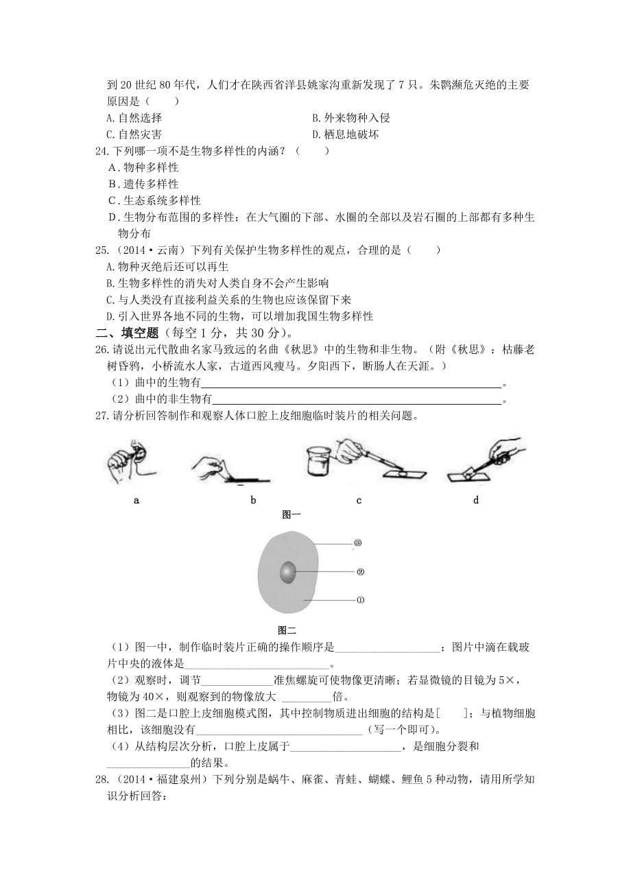 浙教版科学七年级的上册第2章+观察生物+单元测试题.doc_第4页