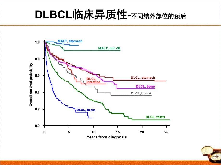 中国弥漫大B细胞淋巴瘤诊治指南.ppt_第5页