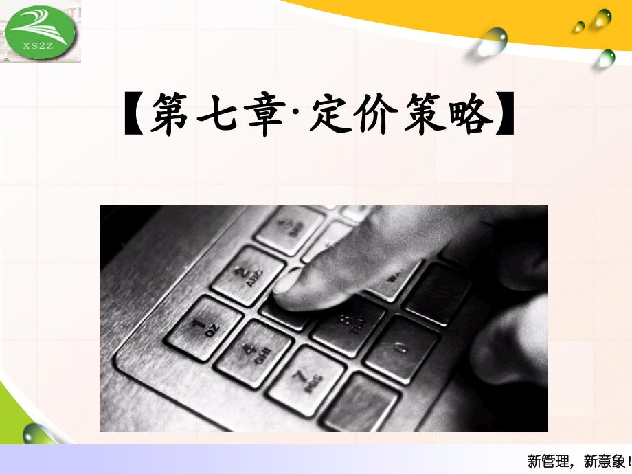 定价策略新产品定价.ppt_第1页