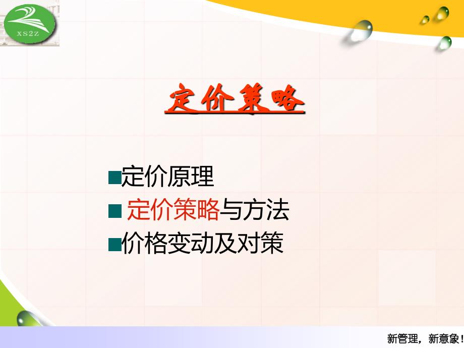 定价策略新产品定价.ppt_第2页