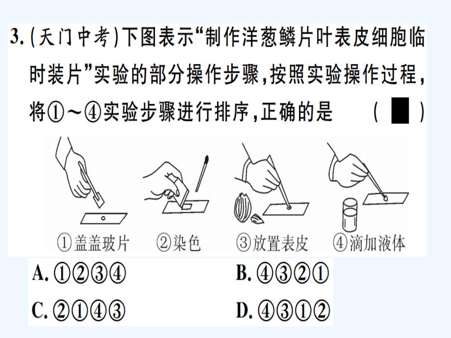 八年级生物下册专题十五科学与探究习题课件新版新人教版_第3页