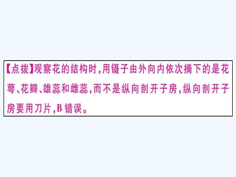 八年级生物下册专题十五科学与探究习题课件新版新人教版_第5页