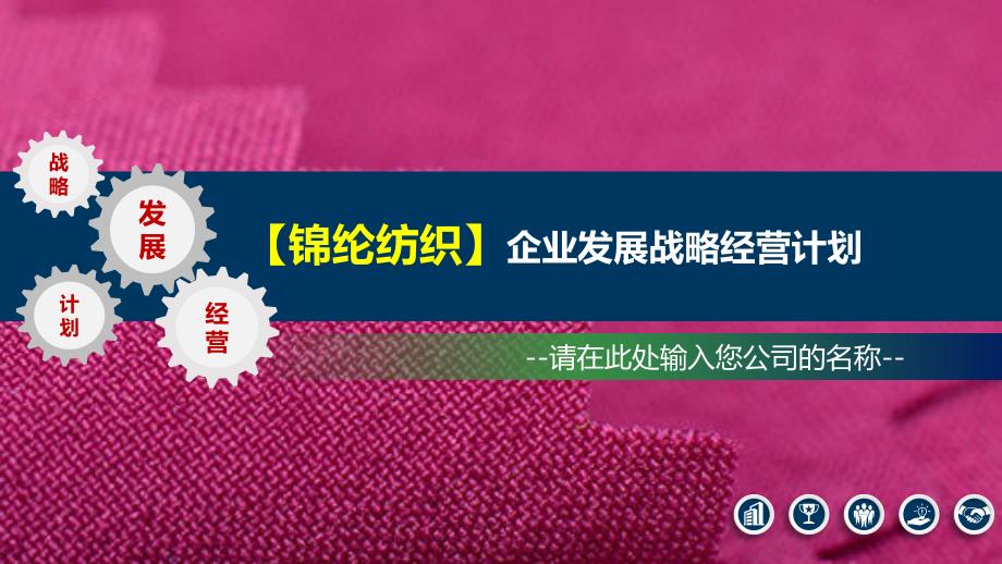2020锦纶纺织行业发展战略与经营计划_第1页