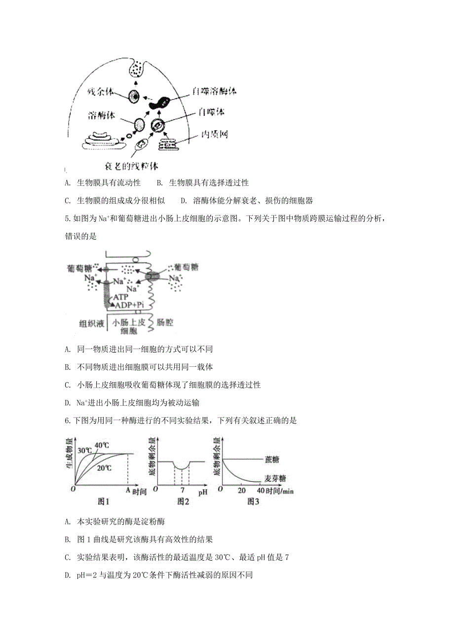 安徽适东县高级中学高三生物12月调研考试试题_第2页