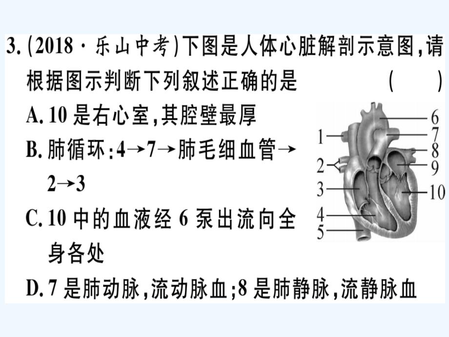 八年级生物下册专题复习六人体内物质的运输及废物的排出习题课件新版北师大版_第3页