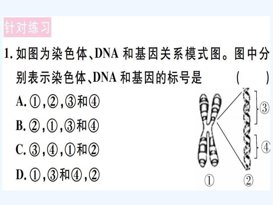 八年级生物下册第七单元第二章生物的遗传与变异小结与复习习题课件新版新人教版_第5页