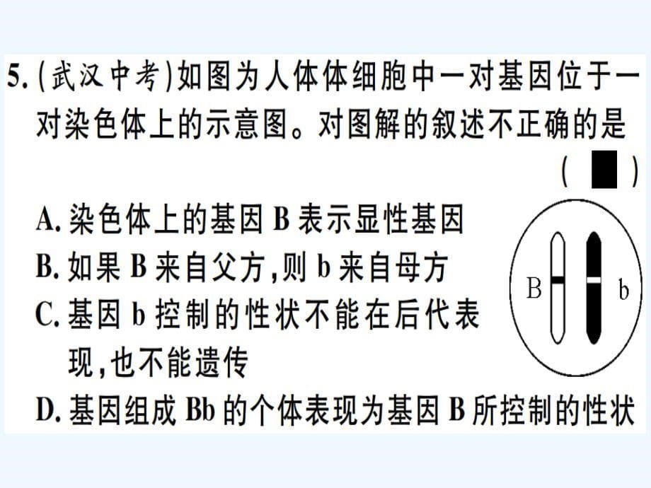 八年级生物下册专题十生物的遗传与变异习题课件新版新人教版_第5页