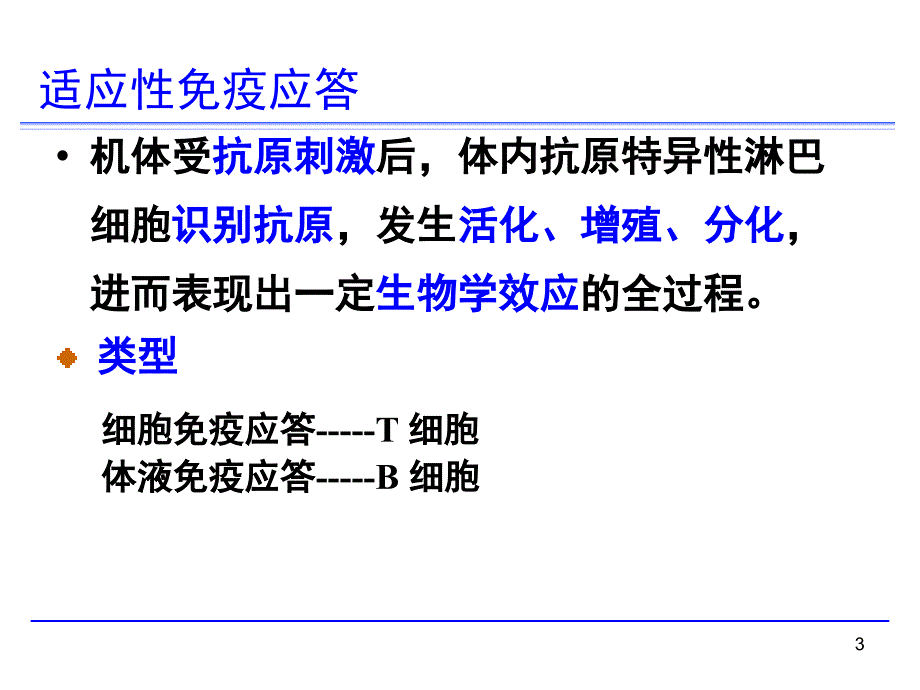 免疫学-T细胞应答.ppt_第3页