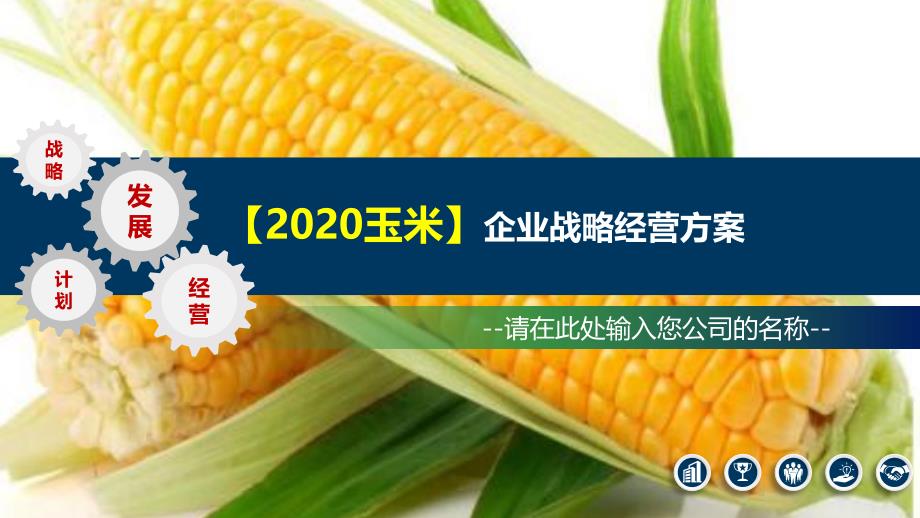 2020玉米企业战略经营方案_第1页