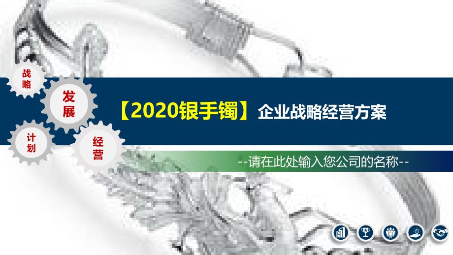 2020银手镯企业战略经营方案_第1页