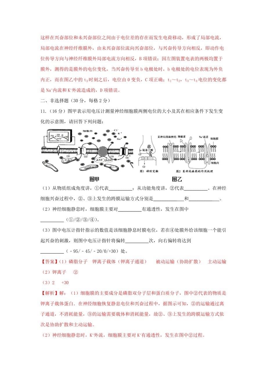 人教版高中生物必修3 第2章第1节通过神经系统的调节第1课时（测）（教师版）_第5页