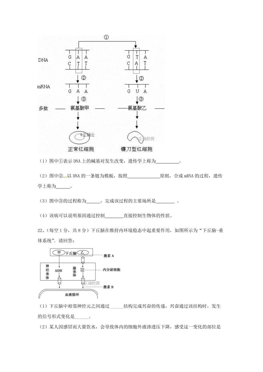 西藏日喀则市南木林高级中学高二生物上学期期末考试试题_第5页