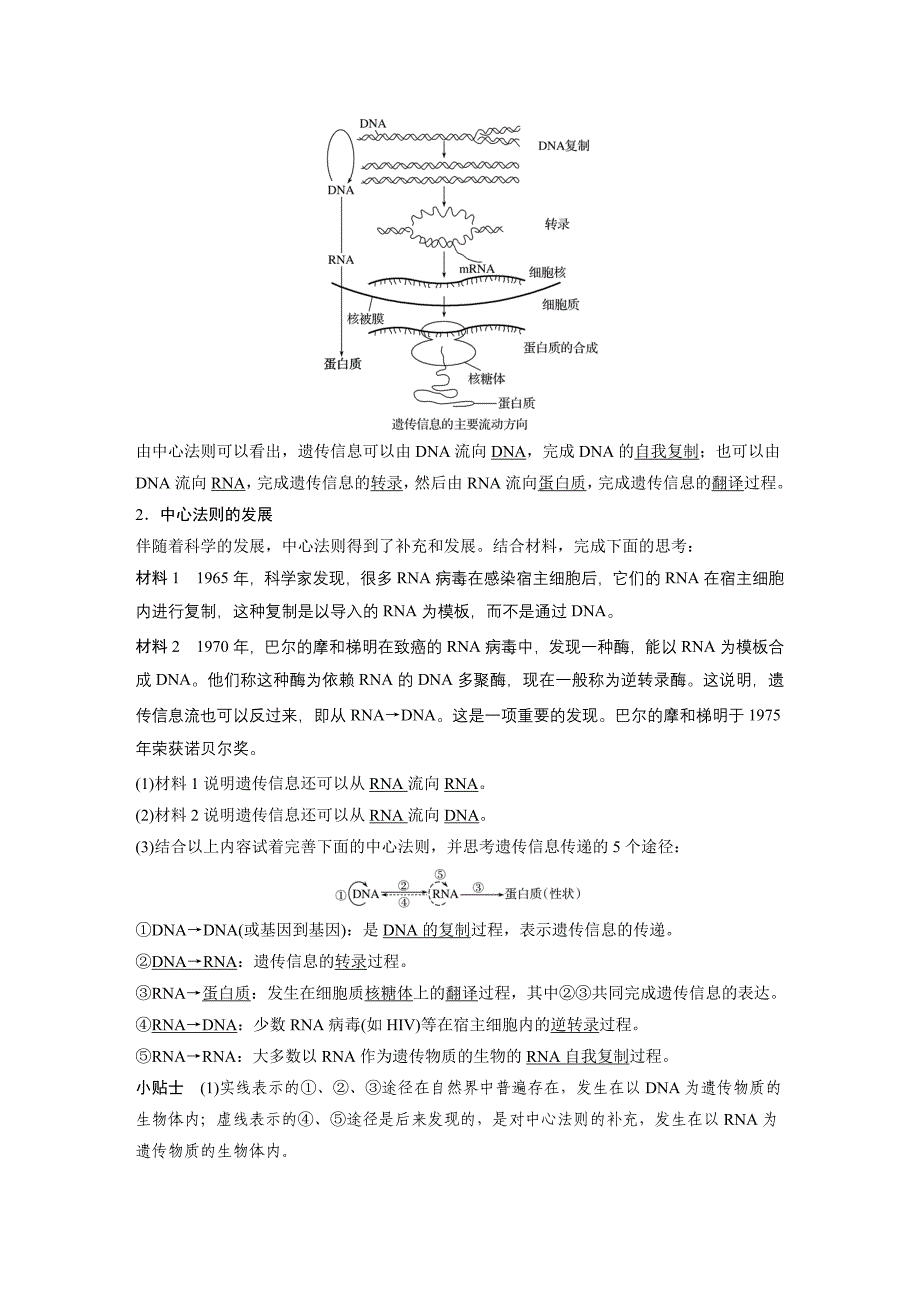 同步备课套餐之高一生物北师大版必修2讲义：第3章 第11课时_第3页