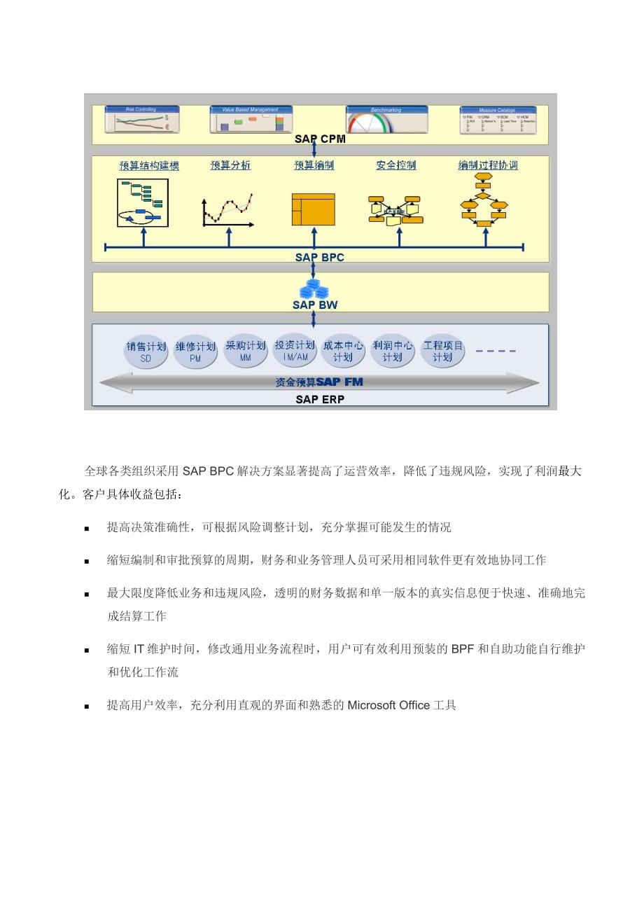 SAP全面预算管理_第3页