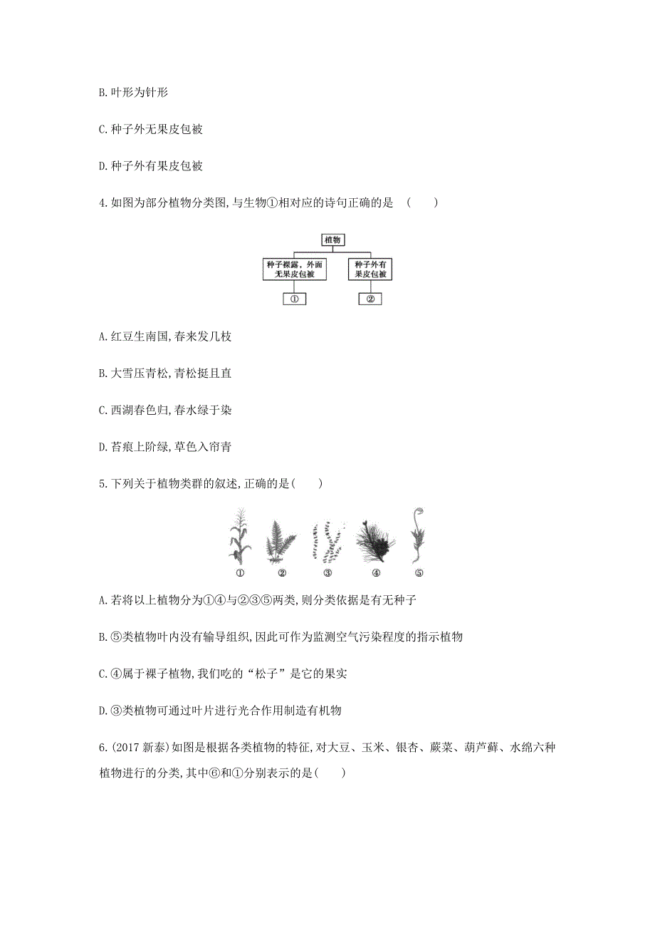 泰安地区中考生物第一部分基础过关第4课时生物圈中有哪些绿色植物复习练习_第2页