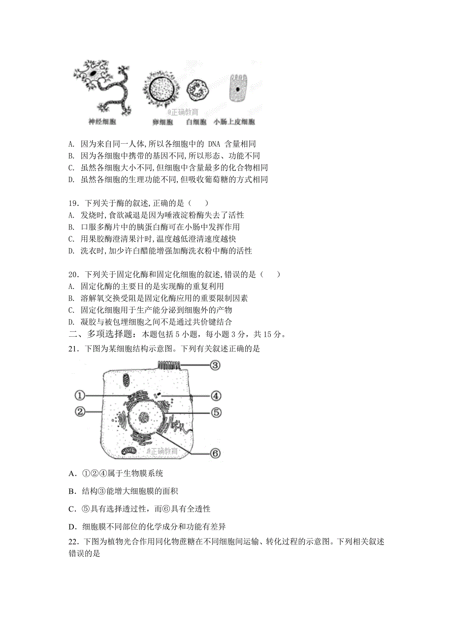 江苏省常州市礼嘉中学高二下学期期末考试生物试卷 Word版无答案_第4页