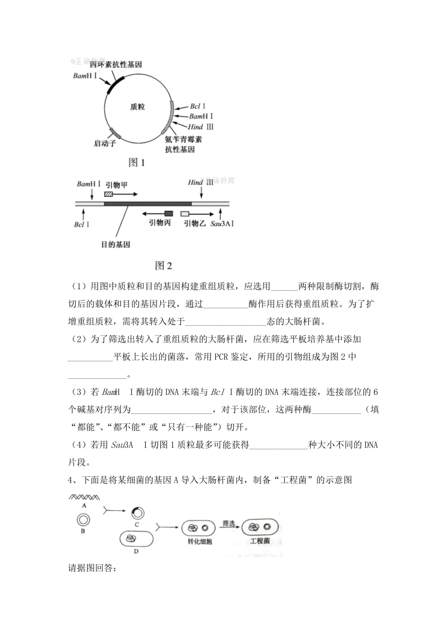 福建省莆田第八中学高二下学期生物校本作业 基因工程第二课时 Word版缺答案_第3页