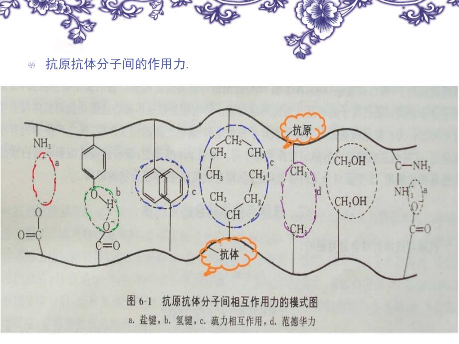 《抗原抗体反应》PPT课件.ppt_第4页