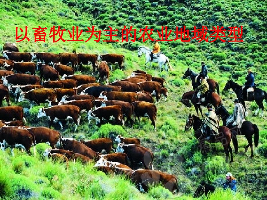 内蒙古准格尔旗世纪中学高中地理必修二：3.3以畜牧业为主的农业地域类型 课件2_第1页