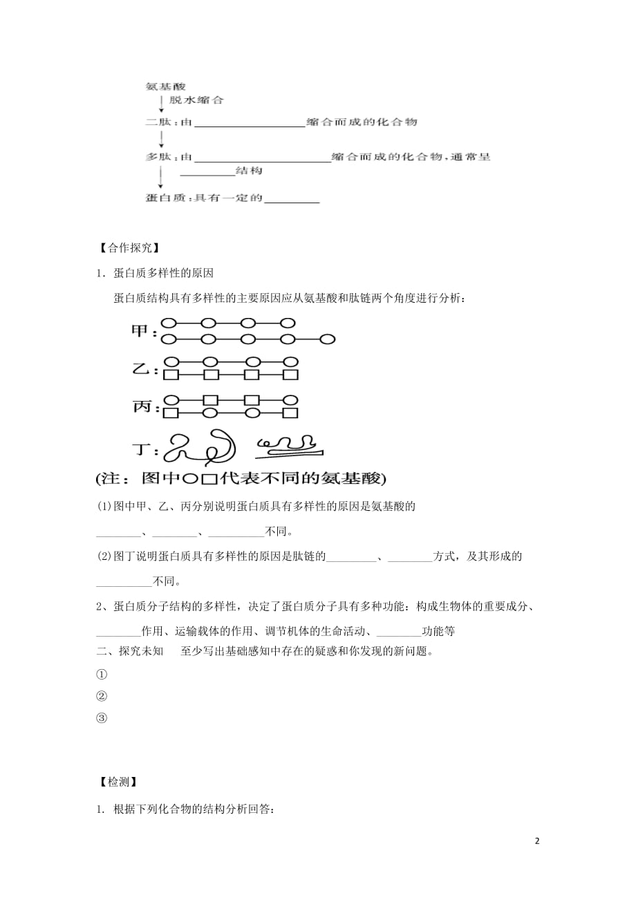 福建省高中生物2.2生命活动的承担者——蛋白质（第2课时）导学提纲新人教版必修1_第2页