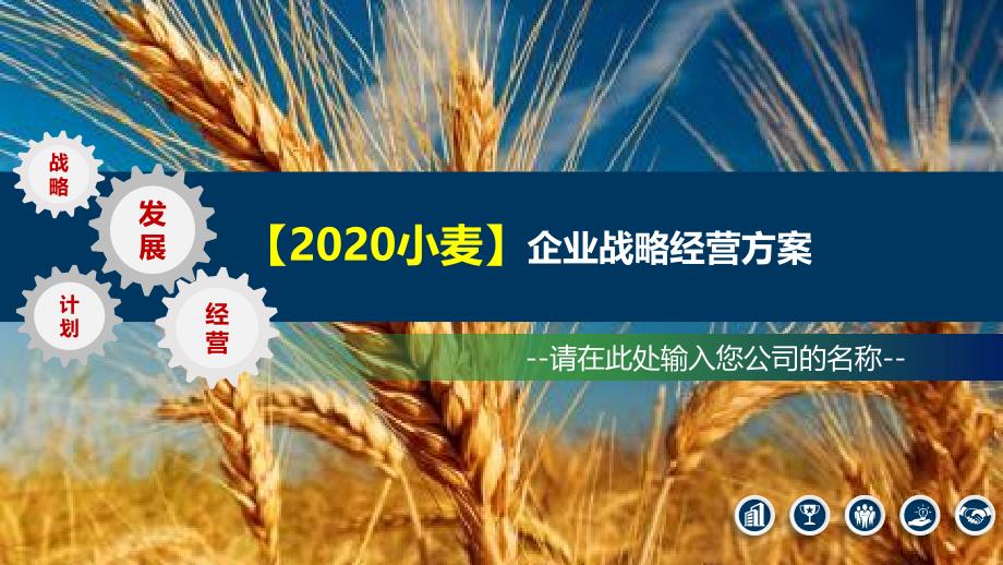 2020小麦企业战略经营方案_第1页