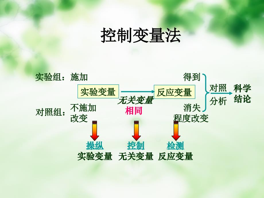 生物实验设计控制变量法.ppt_第4页