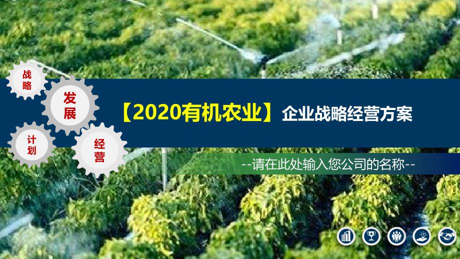 2020有机农业企业战略经营方案_第1页