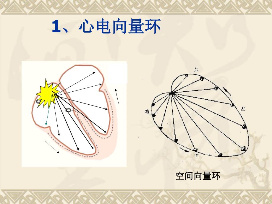 心电图-心电向量详解.ppt_第3页