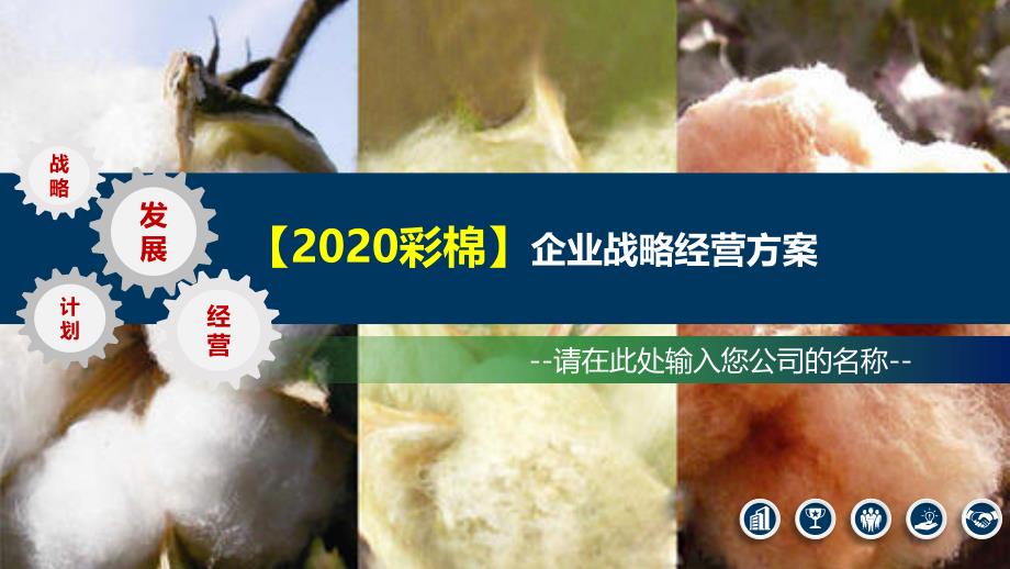 2020彩棉企业战略经营方案_第1页