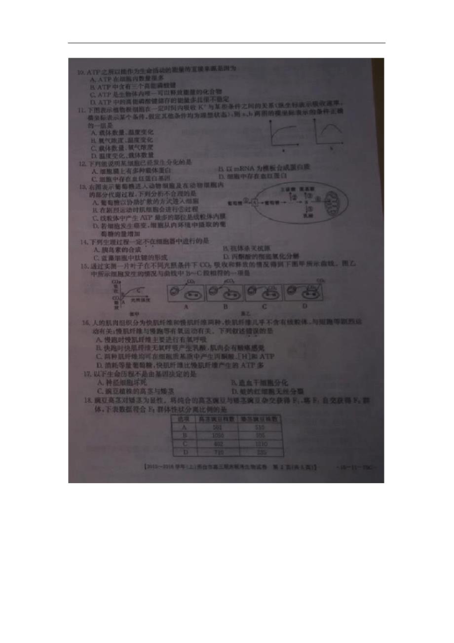 河北省邢台市高三生物上学期期末考试试题(扫描版无答案).pdf_第2页