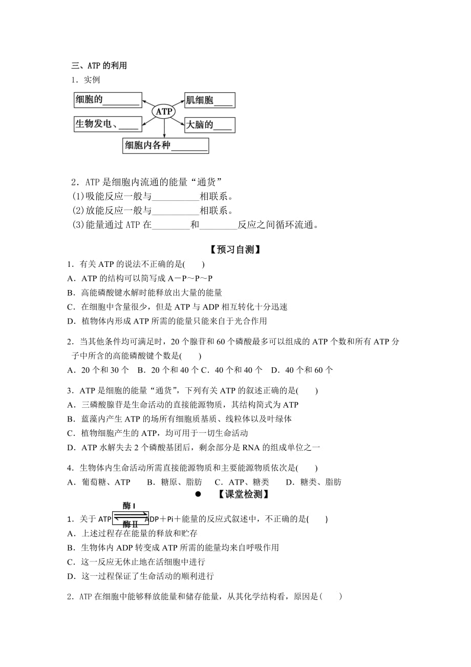 广东省惠阳区中山中学人教版高中生物必修一学案：5.2细胞的能量通货——ATP_第2页