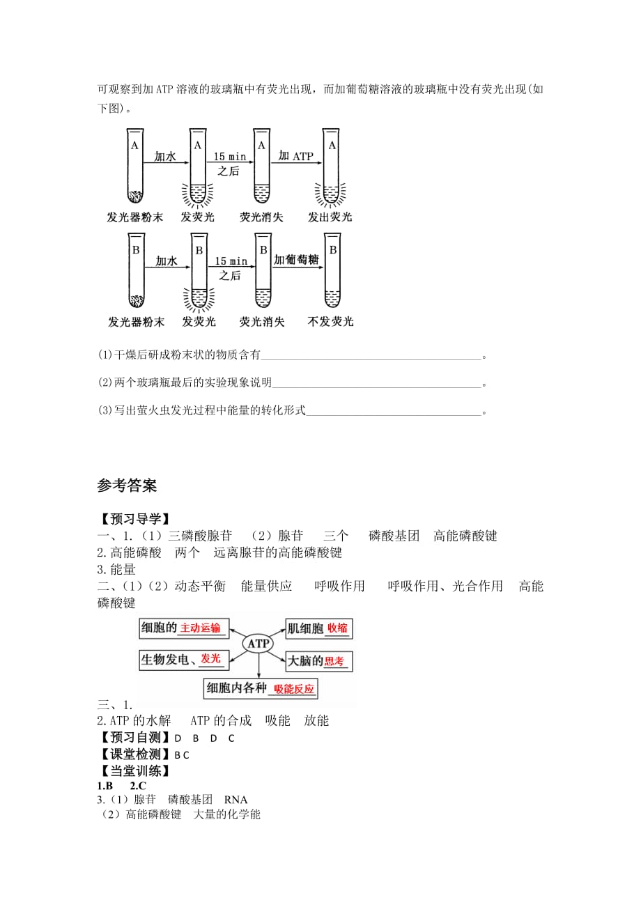 广东省惠阳区中山中学人教版高中生物必修一学案：5.2细胞的能量通货——ATP_第4页